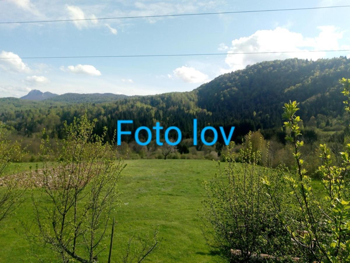 Apartman Gomirje Vrbovsko Exterior foto